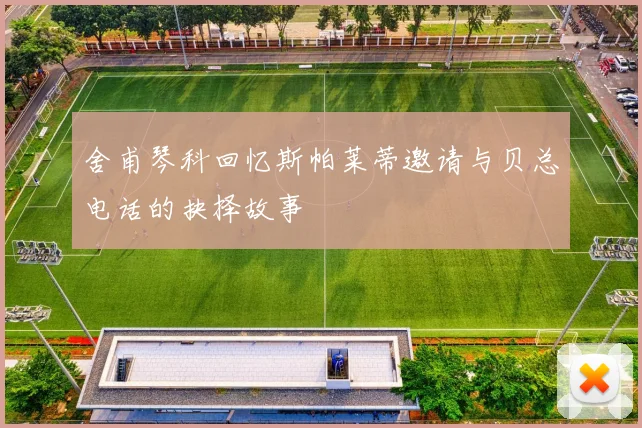 舍甫琴科回忆斯帕莱蒂邀请与贝总电话的抉择故事