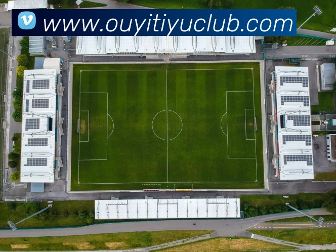 奖项证书